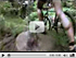 Video Trailer na YouTube